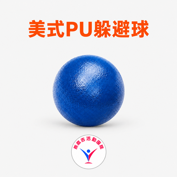 本團隊實際購置美式躲避球樣式 本團隊實際購置美式躲避球樣式